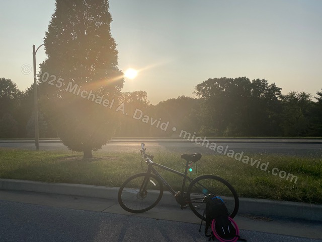 nature_2020-09-18 18.09.11-2020.jpg